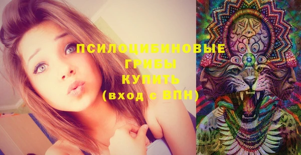 круглые Аркадак