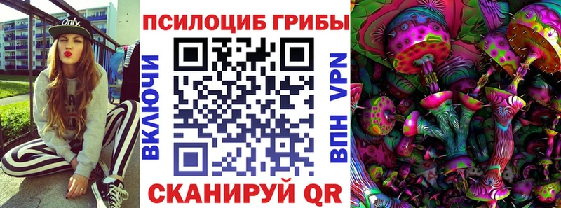 купить   Добрянка  Галлюциногенные грибы Psilocybe 