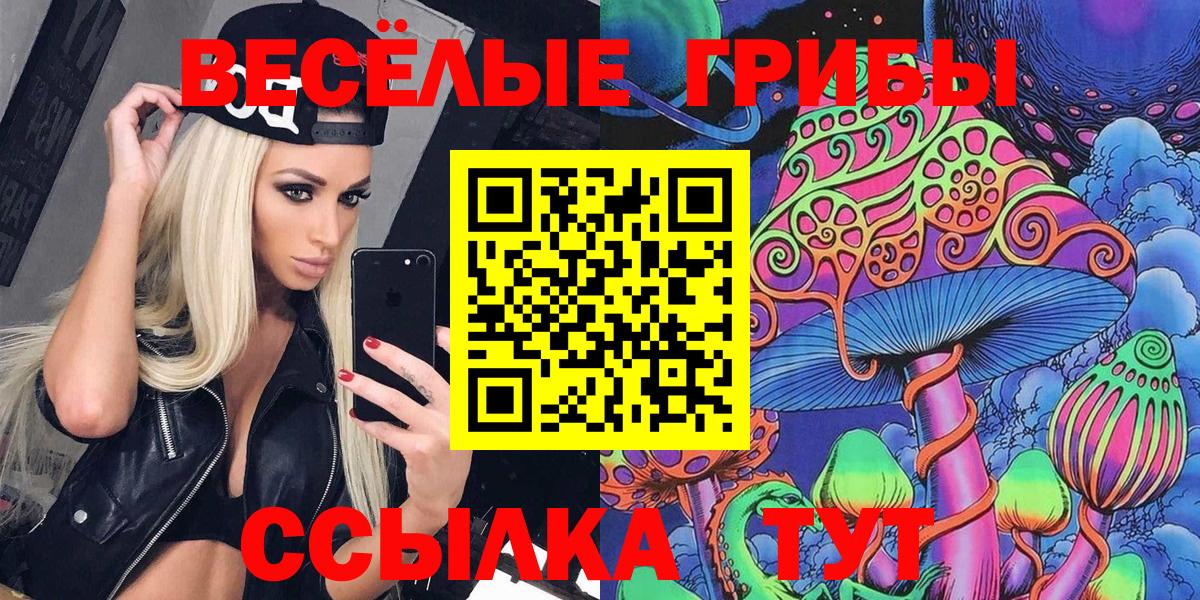 Псилоцибиновые грибы Cubensis Добрянка